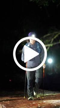 BIB:  <button type="button" onclick="openModal(27567919)" class="btn btn-primary btn-sm float-right" data-toggle="modal" data-target=".modal-high-quality">
                <i class="fa fa-download"></i> Download
                </button>